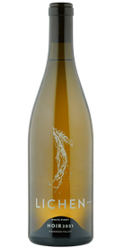 2023 White Pinot