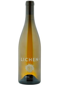 2019 Pinot Gris